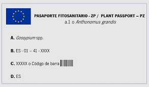 pasaporte sanitario cblingua traductores